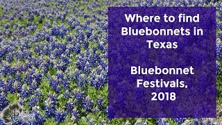 Where to find Bluebonnets in Texas Bluebonnet Festivals 2018 [upl. by Wentworth616]