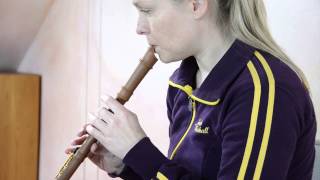 Blockflöte Sounds of the Modern Soprano recorder [upl. by Keese192]