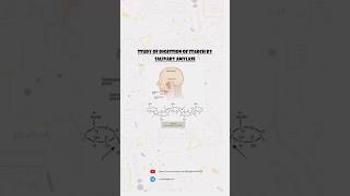 Chemistry Investigatory Project on To Study the Digestion of Starch by Salivary Amylase [upl. by Llij]