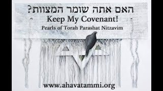 Pearls of The Torah Parashat Nitzavim  “Keep my covenant” [upl. by Amby]