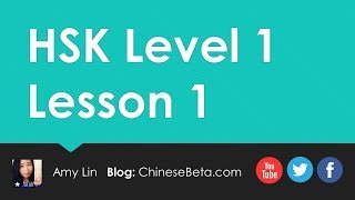 HSK Level 1 Lesson 1  Vocabulary  Sentence Structure  Beginner Chinese Mandarin Lesson [upl. by Nosylla610]