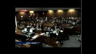 Oscar Trial Day 8 Reexamination by Barry Roux 16 April 2014 [upl. by Esimehc]