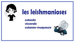 🔵les leishmanioses [upl. by Arihsat]