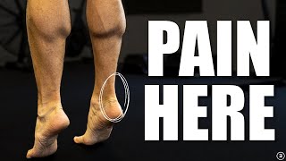 Achilles Tendinopathy  Tendinitis  Tendinosis  Heel Pain Rehab Education Myths Exercises [upl. by Aij298]