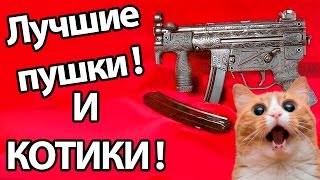 Лучшие пушки и котики   Loot The Game [upl. by Orfield]