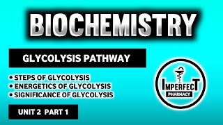 Glycolysis Pathway  Energetics And Significance Of Glycolysis  Carbohydrates Metabolism  Biochem [upl. by Llertnac299]