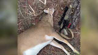 Hunting the rut on a WMA in Georgia [upl. by Brouwer]