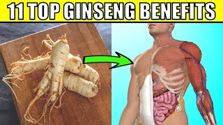 11 AMAZING Ginseng Health Benefits and Uses  How You Can Add Ginseng To Your Diet [upl. by Deelaw]