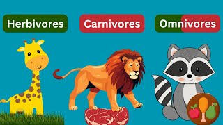 Herbivores Carnivores and Omnivores Animal  Types of Animal [upl. by Daniala]