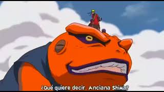 NARUTO VS PAIN COMPLETA SUB ESPAÑOL [upl. by Attelliw]