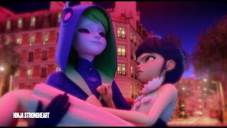 Señorita  FelixMarinette  Miraculous Ladybug MV [upl. by Eyanaj]