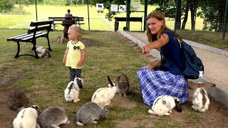 For a video about rabbit habitats  rabbits netural animal videos  amazing animal [upl. by Eshman88]