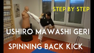 USHIRO MAWASHI GERI  spinning back kick  TEAM KI [upl. by Hartnett]