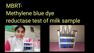 MBRT  Methylene blue dye reductase test of milk  Microbiology laboratory [upl. by Fronnia134]