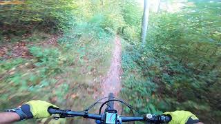 Ext 8 sortie VTT Club Vosgien La Petite Pierre 19102024 [upl. by Stephens]