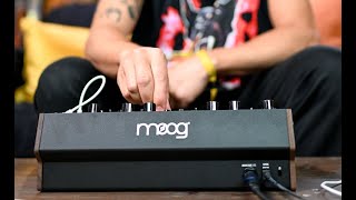 Moog DFAM  Percussion Synth Techniques with Baseck [upl. by Nollahp]