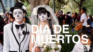 Day of the Dead Parade 4K  Mexico Travel Vlog 234  The Way We Saw It [upl. by Christophe]