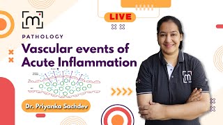 Understanding Vascular Events of Acute Inflammation  MedLive by Dr Priyanka [upl. by Enaid29]