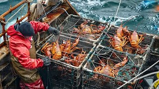 American Fishermen Catch Millions of Salmon And Cod This Way  Lobster Trap Fishing in Deep Sea [upl. by Sesmar141]