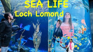 Sea Life Loch Lomond Aquarium Scotland [upl. by Nileek]