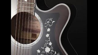 Takamine GN 75CE  Acoustic Review [upl. by Halas]