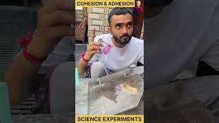 adhesion and cohesion of water  science experiments experiment science physics [upl. by Afas423]