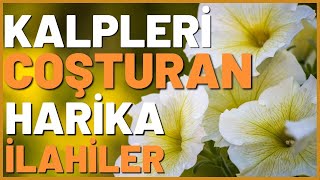 İLAHİLER  ALLAHIN HABİBİ NEBİ DERTLERİN TABİBİBİ NEBİ SALAT SELAM OLSUN ONA [upl. by Rosdniw]