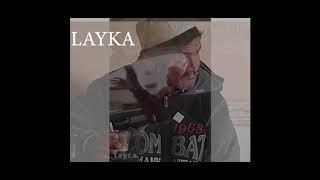 LAYKA REMIX PATATA 2021 [upl. by Berton]