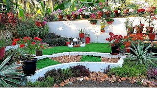 Garden Ideas For Home  Garden makeover മലയാളം [upl. by Isolt]