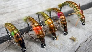 Austroperlidae stonefly nymph easy fly tying instructions by Ruben Martin [upl. by Perpetua667]