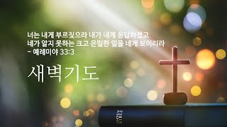 quot감사함은 육체의 질병뿐 아니라 영혼의 구원도 얻는다quot 눅171119 새벽20241113 [upl. by Latonia]