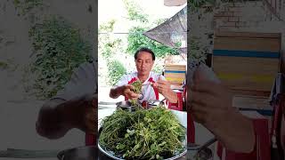 Cơm trưa rau hẹrau chóc rau bợamthuc shortvideo xuhuong automobile love [upl. by Storer]