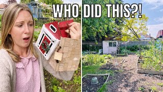 WHO DID THIS  ALLOTMENT GARDENING FOR BEGINNERS [upl. by Murtha]