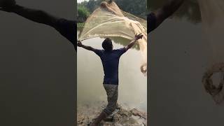 shortvideo amazing fish short vidio [upl. by Hollah983]