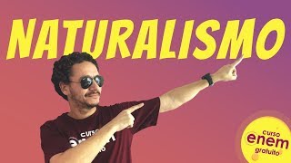 NATURALISMO  Resumo de Literatura para o Enem [upl. by Iznekcam]