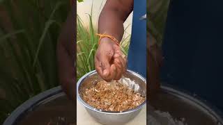 Soybean ko banaye fast food food foodrangers rangerscookingshow [upl. by Adnil]