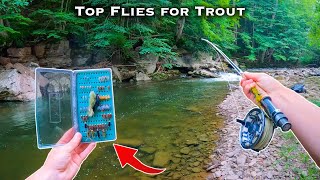 The BEST Flies for Trout  Fly Fishing for Beginners Streamers Nymphs Dry Flies [upl. by Marlyn]