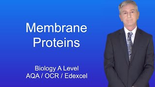 A Level Biology Revision quotMembrane Proteinsquot [upl. by Pettit]