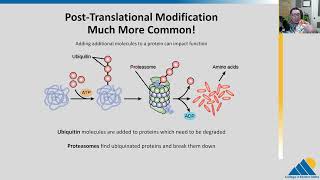 BIOL201 Ch166  Eukaryotic Translational and PostTranslational Gene Regulation [upl. by Yalhsa870]