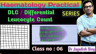 DLC  Differential Leucocyte Count Haematology Practical Series [upl. by Ennoitna]