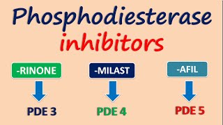 Phosphodiesterase inhibitors [upl. by Linea]