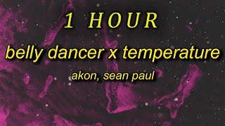 1 HOUR 🕐  Belly Dancer x Temperature TikTok hey ladies drop it down just wanna see you touch th [upl. by Kraska214]