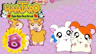 Jugando a Hamtaro Rompe Corazones Capitulo 8  Descontrol en Divertiland y ayudando a Tigrillo [upl. by Ayekin541]