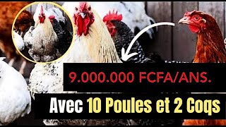 Comment gagner 8250000 FCFA avec lélevage de poulets locaux [upl. by Ermin]