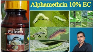 alphamethrin 10 ec uses in hindialphamethrin 10 ecalphamethrin 10 ec tamil [upl. by Mcneely]