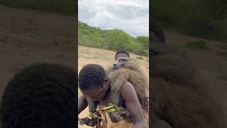 Hunting and Cooking Huge Baboon with Hadzabe tribe hadzabetribe africantribe [upl. by Orlene]