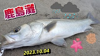 【鹿島灘サーフ】10月サーフで久々シーバス🐟️ [upl. by Hakceber]