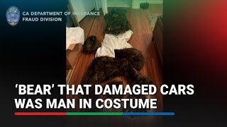 Man in bear costume damages luxury cars in California owners falsely claimed damages  ABSCBN News [upl. by Azil]