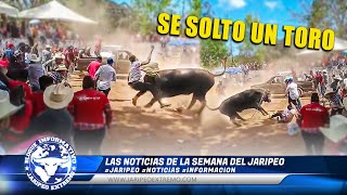 SE SOLTO UN TORO EN UN JARIPEO 🗞📰 [upl. by Vogeley]