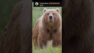 Now vs million years back  Bear shorts short wildlife animals youtubeshorts [upl. by Frasco]